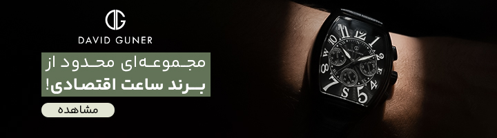 دیوید گانر