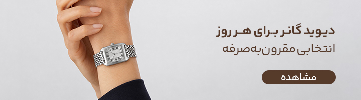 دیوید گانر