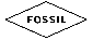 ساعت فسیل(FOSSIL)
