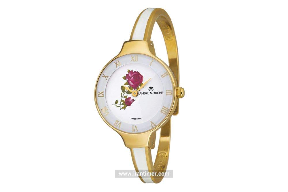 خرید ساعت مچی زنانه آندره موشه مدل 424-01101 به چه افرادی پیشنهاد میشود؟