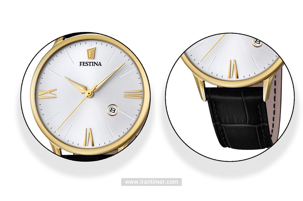 امکانات و خصوصیات ساعت مچی مردانه فستینا مدل F16825/1