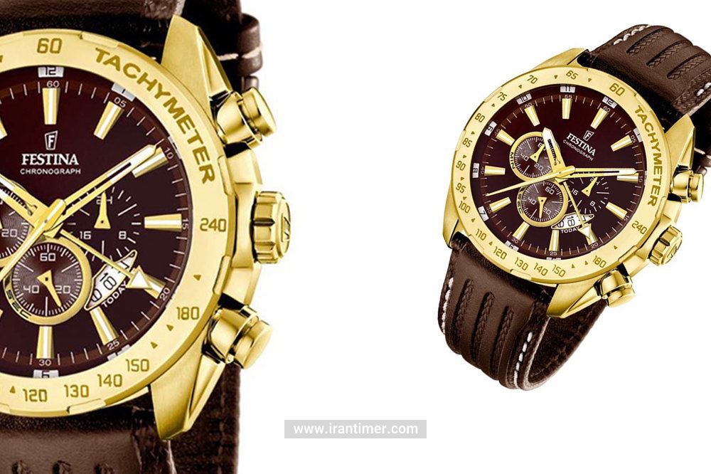 خرید ساعت مچی مردانه فستینا مدل F16879/3 به چه افرادی پیشنهاد میشود؟