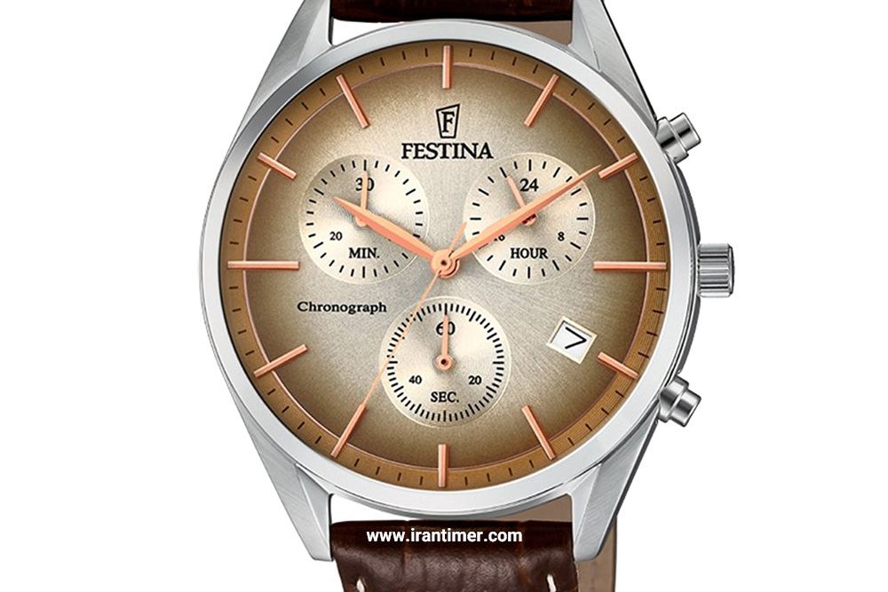 ظاهر ساعت مچی مردانه فستینا مدل F6860/1