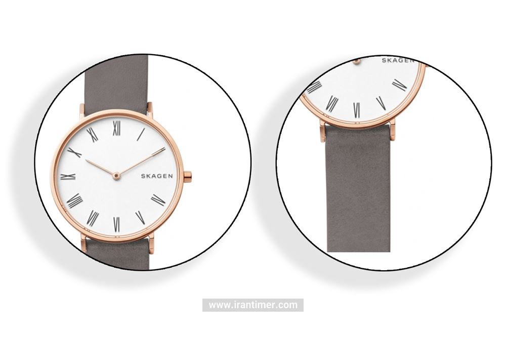 امکانات استفاده شده در ساعت مچی زنانه اسکاگن مدل SKW2674