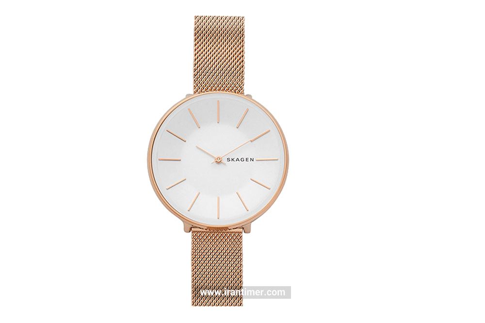 ساعت مچی زنانه اسکاگن مدل SKW2688 یک ساعت ساده بهره مند از طراحی زیبا