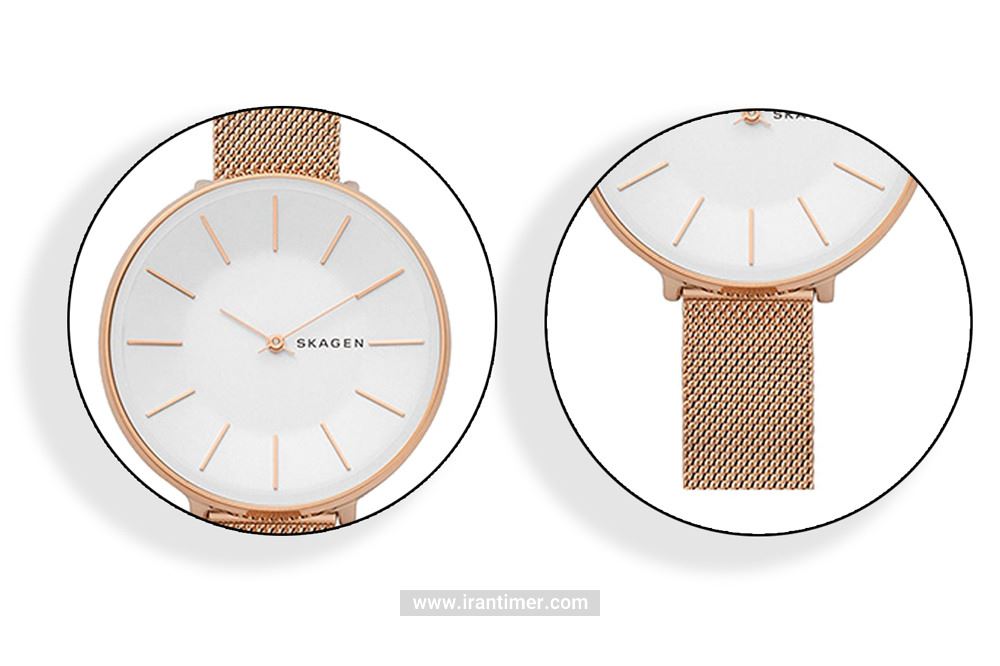 امکانات و ویژگی‌های ساعت مچی زنانه اسکاگن مدل SKW2688