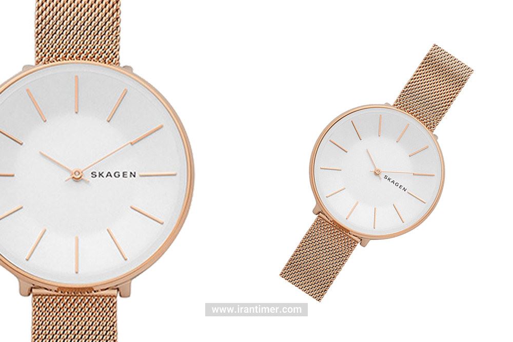 بررسی قیمت ساعت مچی زنانه اسکاگن مدل SKW2688