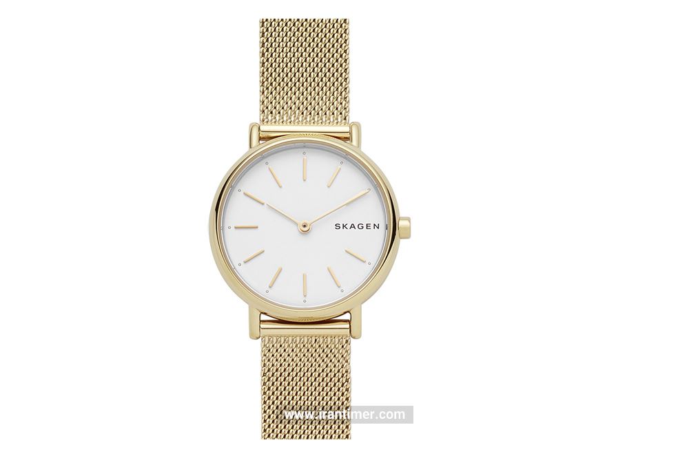 ساعت مچی زنانه اسکاگن مدل SKW2693 ساعتی