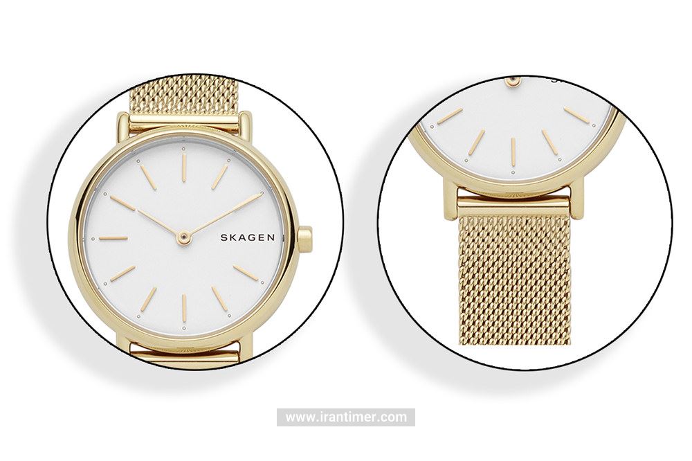 امکانات و خصوصیات ساعت مچی زنانه اسکاگن مدل SKW2693