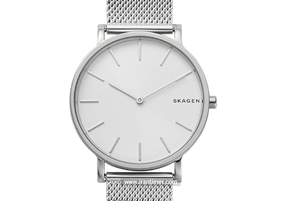 بررسی ظاهری ساعت مچی مردانه اسکاگن مدل SKW6442