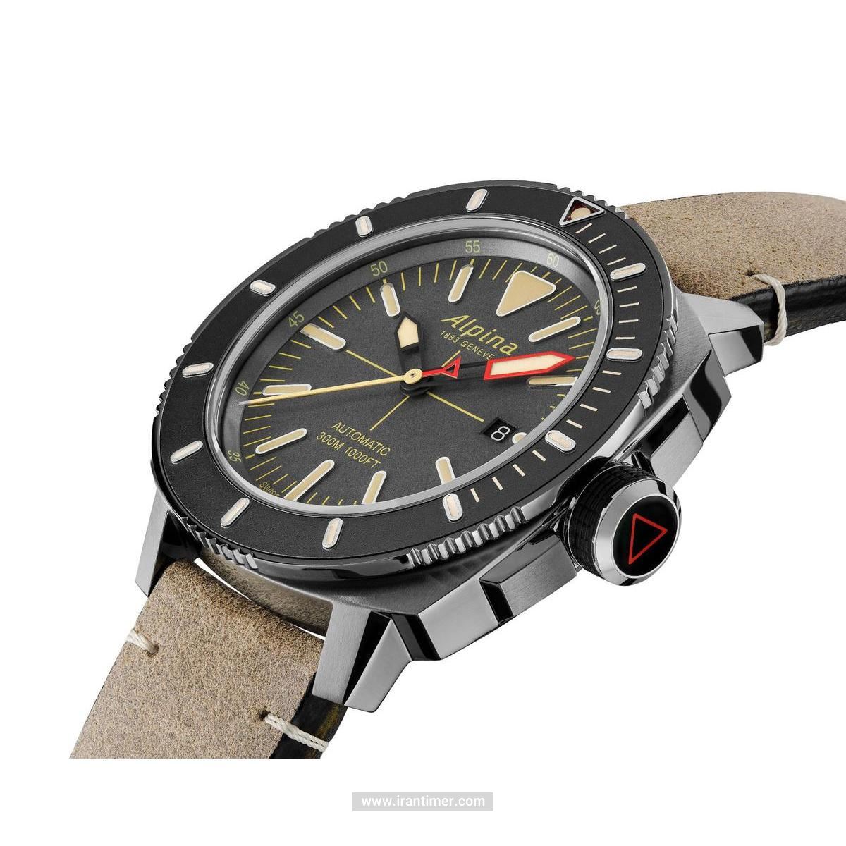 خرید ساعت مچی مردانه آلپینا مدل AL-525LGG4TV6 به چه افرادی پیشنهاد میشود؟