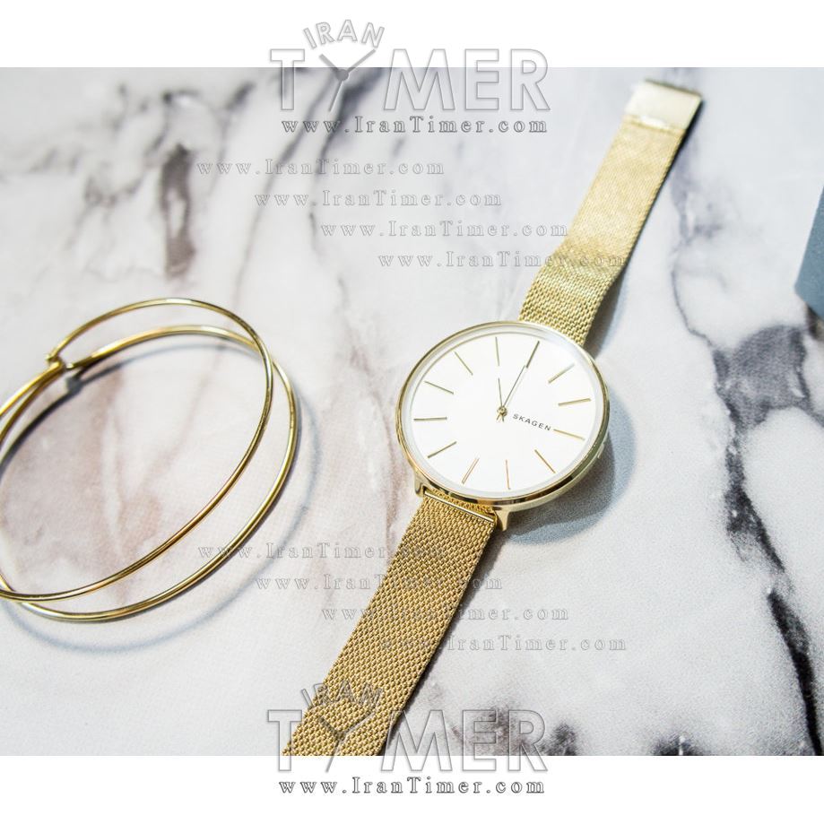 قیمت و خرید ساعت مچی زنانه اسکاگن(SKAGEN) مدل SKW1104 کلاسیک | اورجینال و اصلی