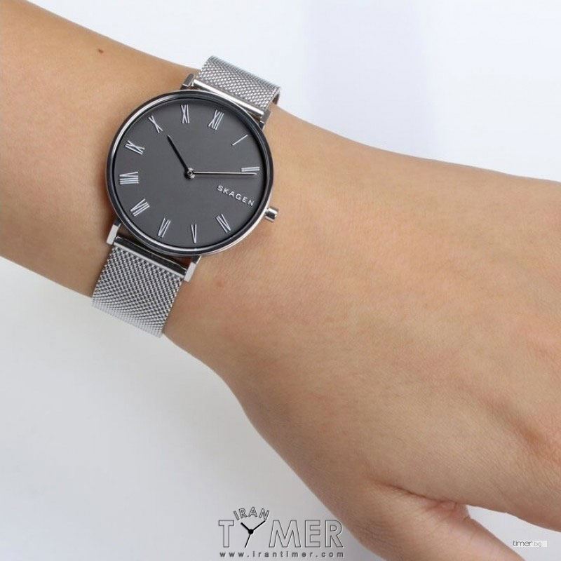 قیمت و خرید ساعت مچی زنانه اسکاگن(SKAGEN) مدل SKW2677 کلاسیک | اورجینال و اصلی