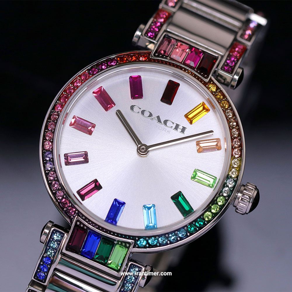 قیمت و خرید ساعت مچی زنانه کوچ(Coach) مدل 14503835 فشن | اورجینال و اصلی