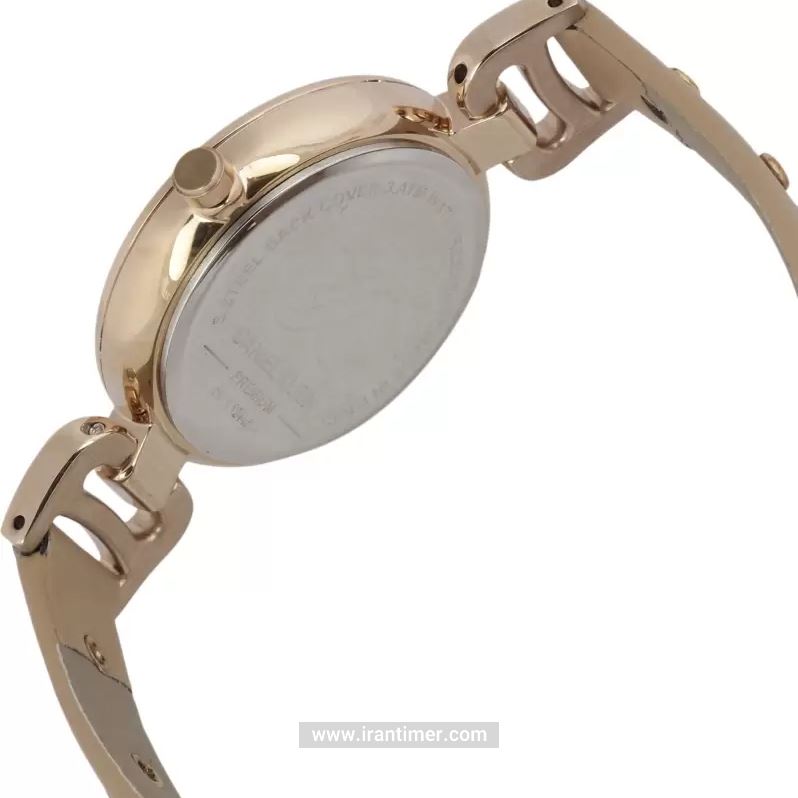 قیمت و خرید ساعت مچی زنانه دنیل کلین(Daniel Klein) مدل DK.1.12445-2 کلاسیک | اورجینال و اصلی