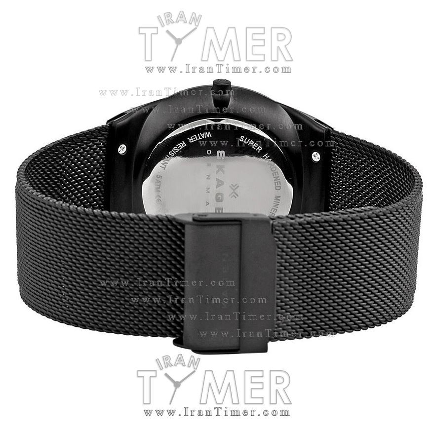 قیمت و خرید ساعت مچی مردانه اسکاگن(SKAGEN) مدل SKW6006 کلاسیک | اورجینال و اصلی