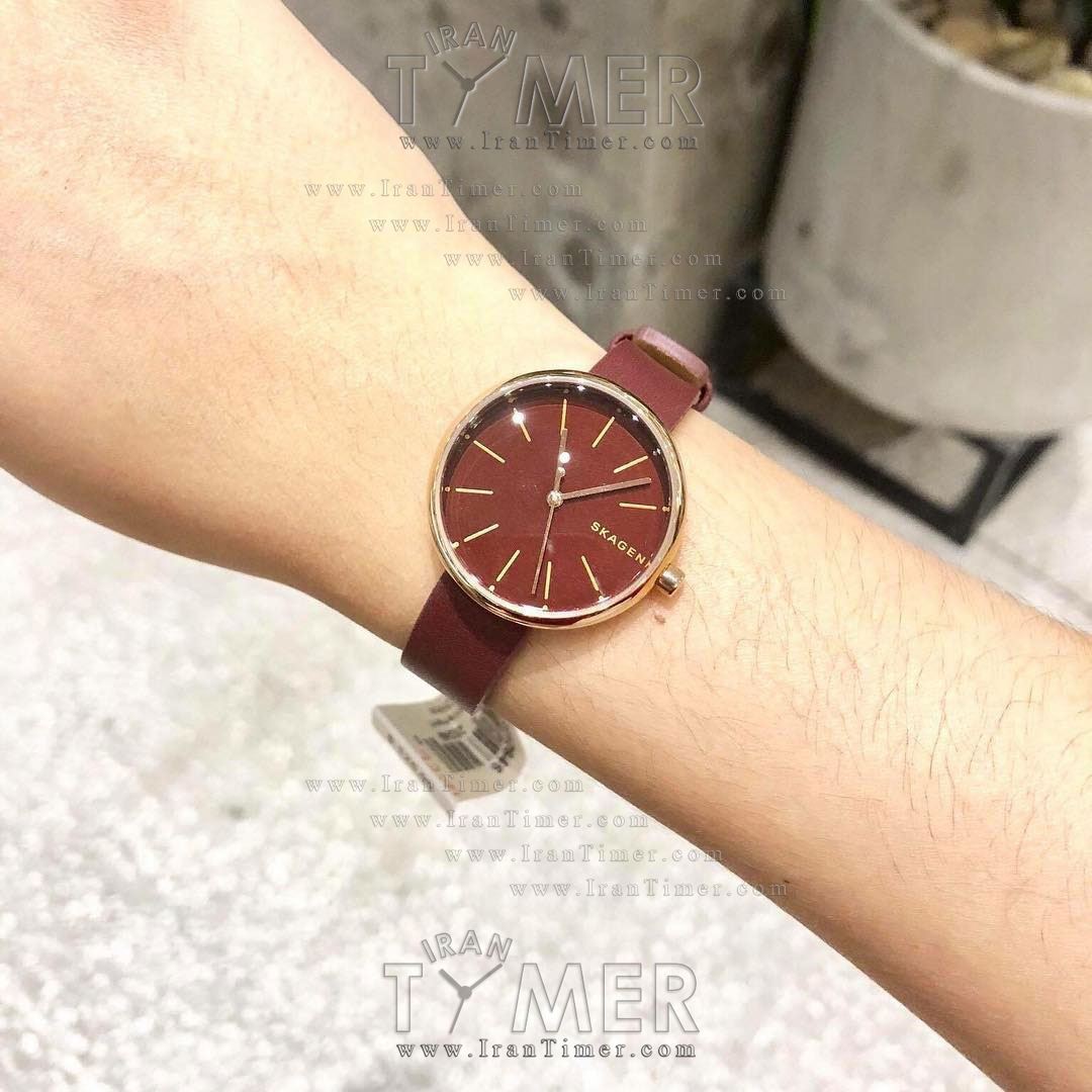 قیمت و خرید ساعت مچی زنانه اسکاگن(SKAGEN) مدل SKW2646 کلاسیک | اورجینال و اصلی