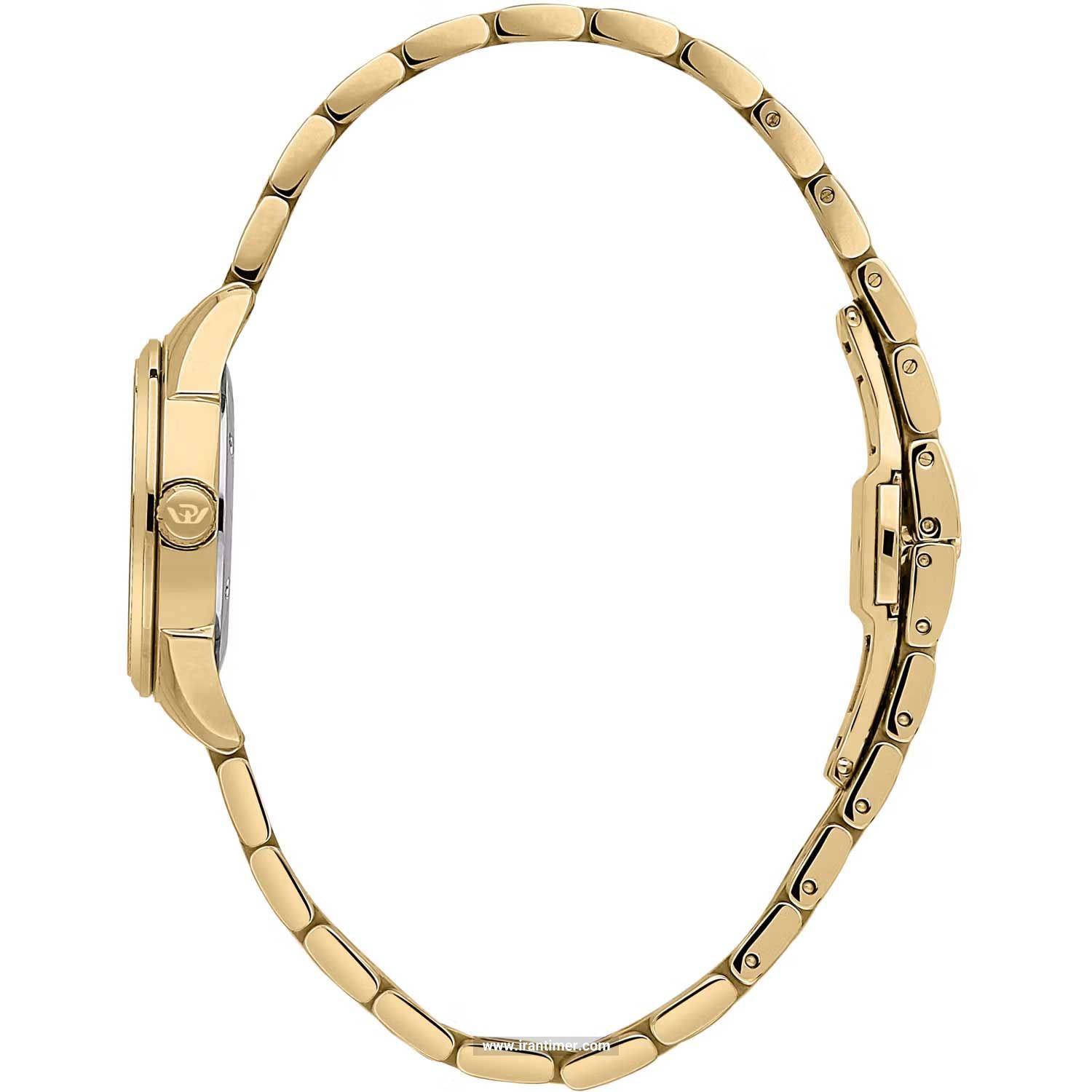 قیمت و خرید ساعت مچی زنانه فلیپ واچ(Philip Watch) مدل R8253217508 کلاسیک | اورجینال و اصلی