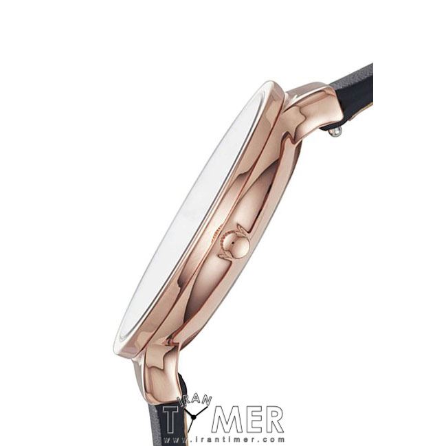 قیمت و خرید ساعت مچی زنانه اسکاگن(SKAGEN) مدل SKW2608 کلاسیک | اورجینال و اصلی