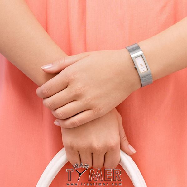 قیمت و خرید ساعت مچی زنانه برینگ(BERING) مدل B10817-004 کلاسیک | اورجینال و اصلی