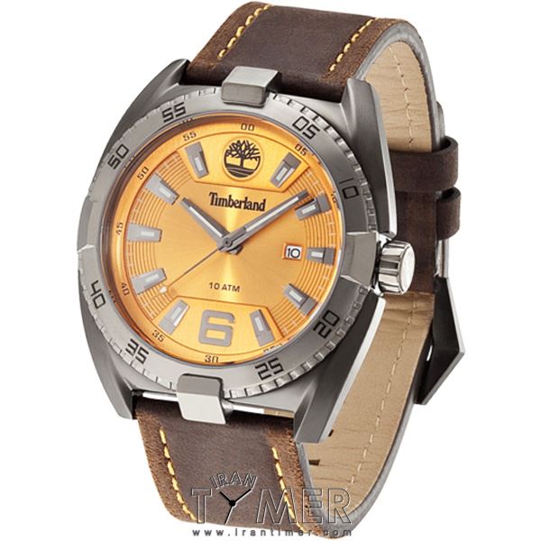 قیمت و خرید ساعت مچی مردانه تیمبرلند(TIMBERLAND) مدل TBL13898JSBU-17 اسپرت | اورجینال و اصلی