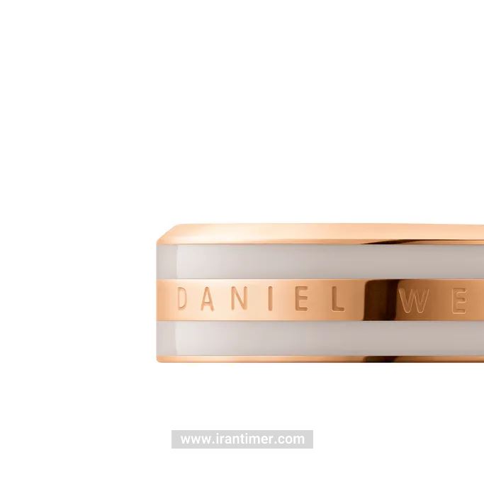 قیمت و خرید حلقه (انگشتر) زنانه دنیل ولینگتون(DANIEL WELLINGTON) مدل DW00400053 کلاسیک | اورجینال و اصلی