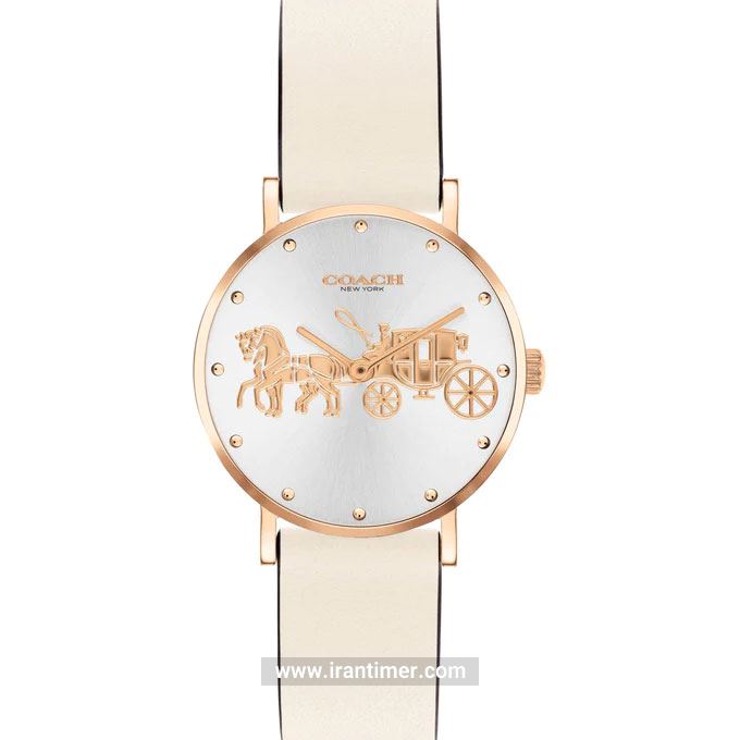 قیمت و خرید ساعت مچی زنانه کوچ(Coach) مدل 14503796 کلاسیک | اورجینال و اصلی