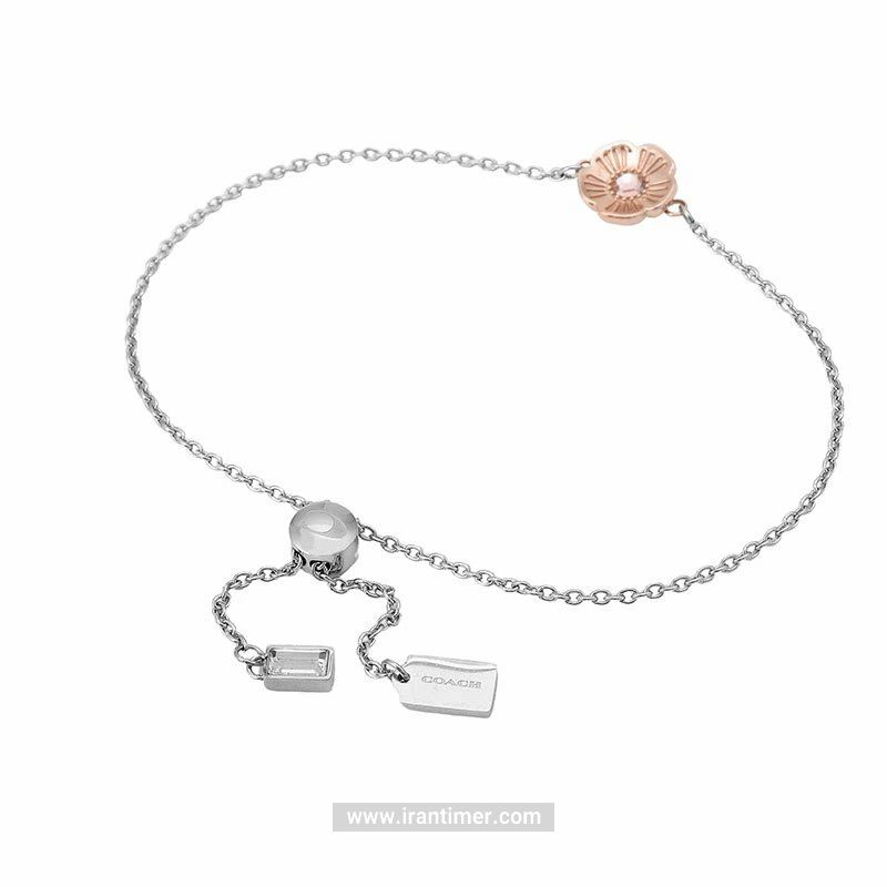 قیمت و خرید ساعت مچی زنانه کوچ(Coach) مدل 14000104 فشن | اورجینال و اصلی