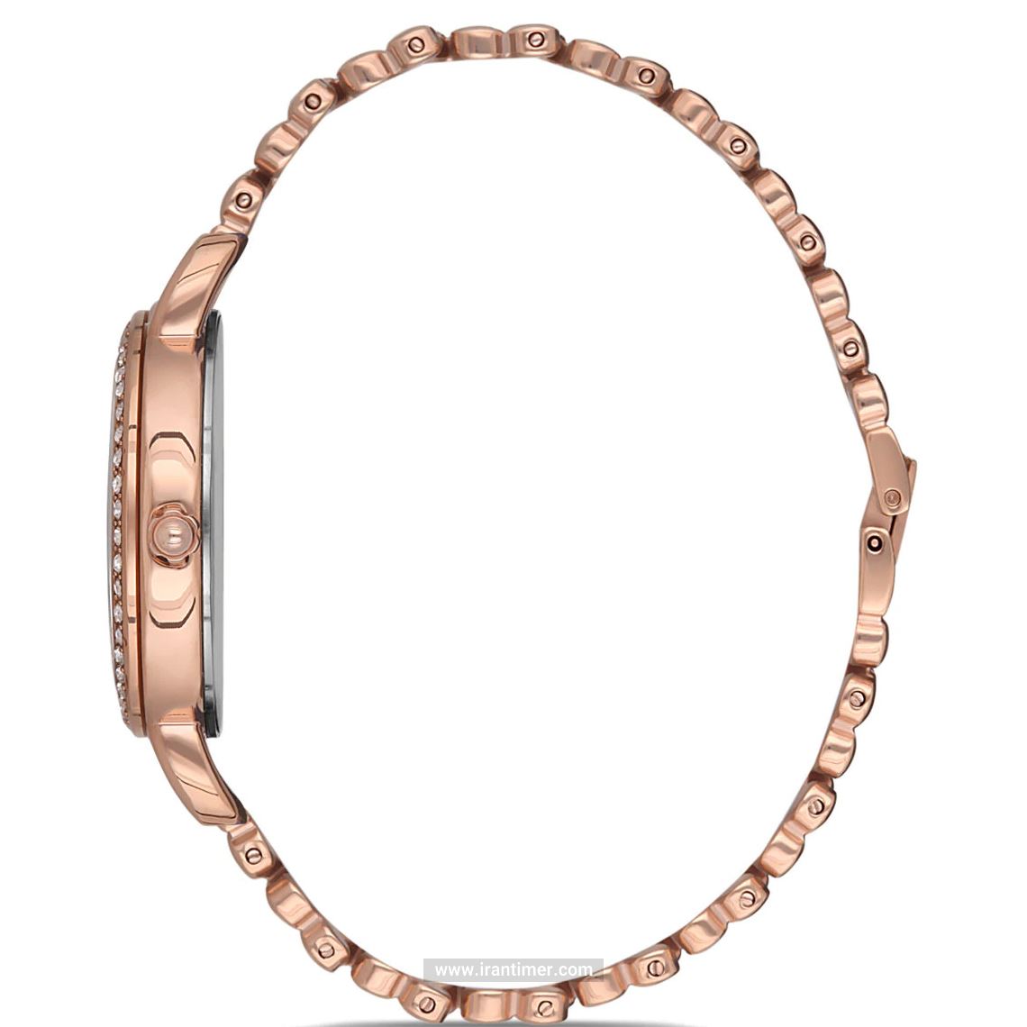 قیمت و خرید ساعت مچی زنانه دنیل کلین(Daniel Klein) مدل DK.1.12564-2 فشن | اورجینال و اصلی