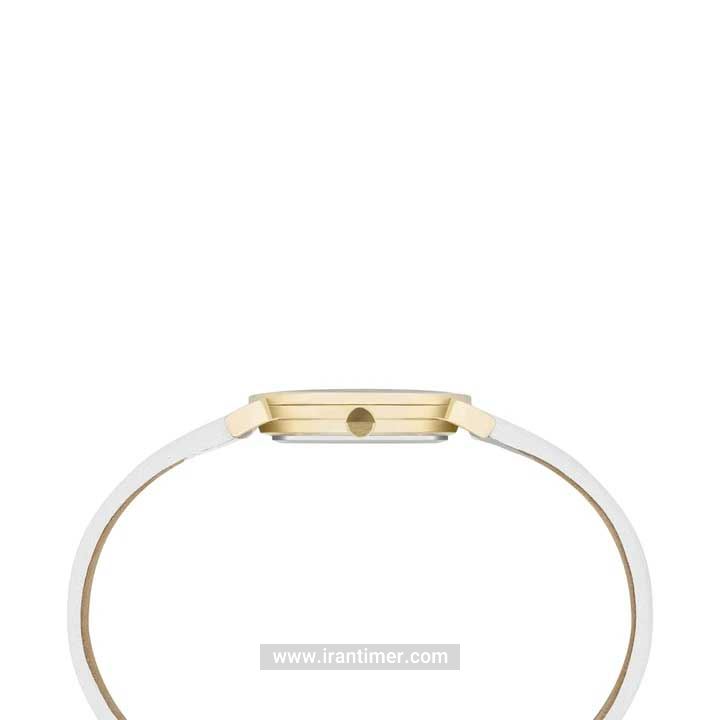 قیمت و خرید ساعت مچی زنانه پیر کاردین(PIERRE CARDIN) مدل CPI.2509 کلاسیک | اورجینال و اصلی