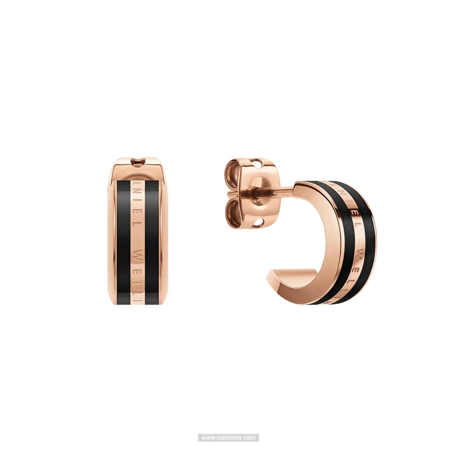 قیمت و خرید گوشواره زنانه دنیل ولینگتون(DANIEL WELLINGTON) مدل DW00400310 کلاسیک | اورجینال و اصلی