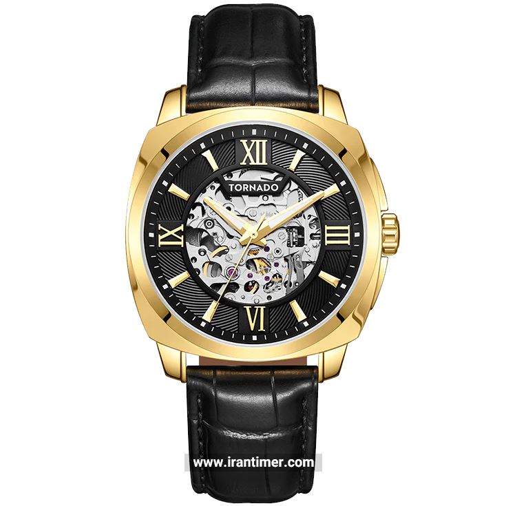 قیمت و خرید ساعت مچی مردانه تورنادو(Tornado) مدل T7316-GLBB کلاسیک | اورجینال و اصلی