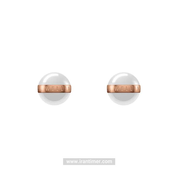 قیمت و خرید گوشواره زنانه دنیل ولینگتون(DANIEL WELLINGTON) مدل DW00400152 کلاسیک | اورجینال و اصلی