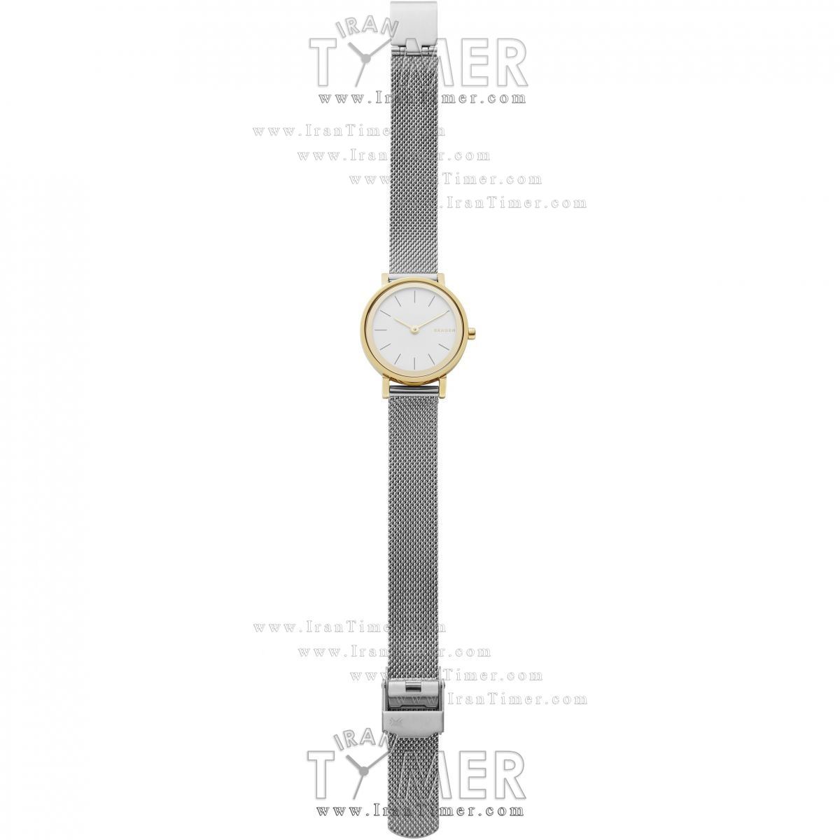 قیمت و خرید ساعت مچی زنانه اسکاگن(SKAGEN) مدل SKW2445 کلاسیک | اورجینال و اصلی