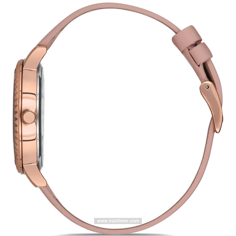 قیمت و خرید ساعت مچی زنانه دنیل کلین(Daniel Klein) مدل DK.1.12533-6 کلاسیک | اورجینال و اصلی