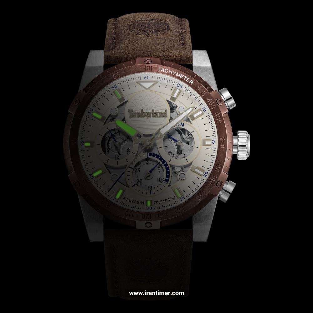 قیمت و خرید ساعت مچی مردانه تیمبرلند(TIMBERLAND) مدل TDWGF0009403 اسپرت | اورجینال و اصلی