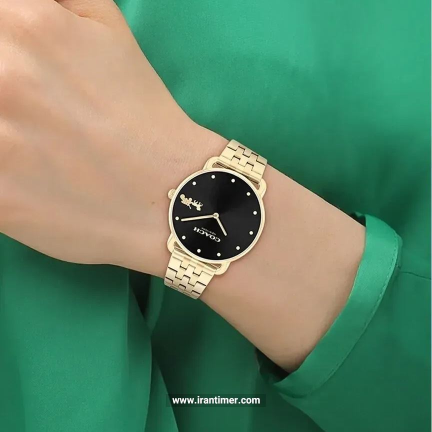 قیمت و خرید ساعت مچی زنانه کوچ(Coach) مدل 14504291 کلاسیک | اورجینال و اصلی