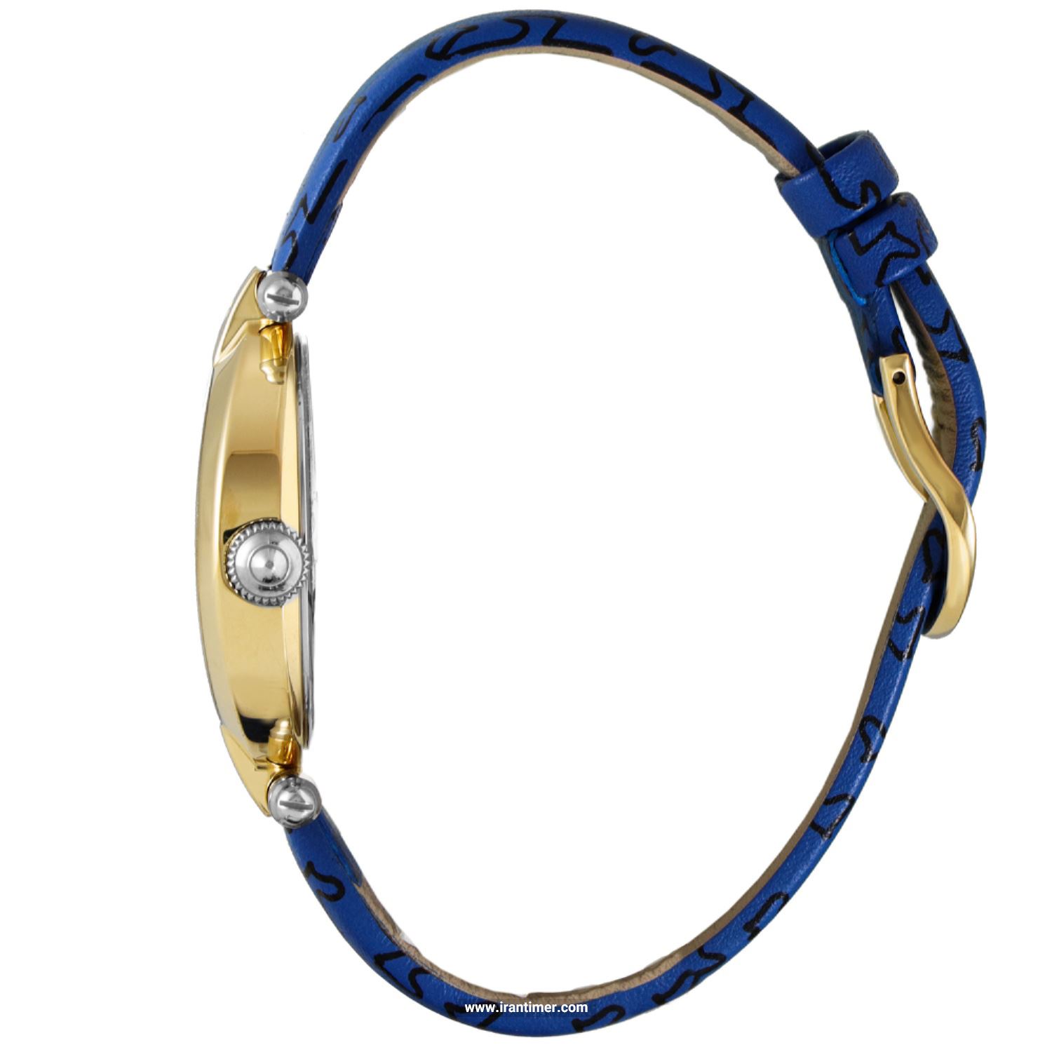 قیمت و خرید ساعت مچی زنانه اگنر(AIGNER) مدل A16271 کلاسیک | اورجینال و اصلی