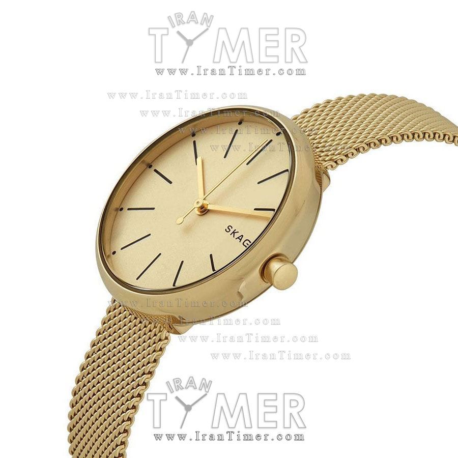 قیمت و خرید ساعت مچی زنانه اسکاگن(SKAGEN) مدل SKW2614 کلاسیک | اورجینال و اصلی