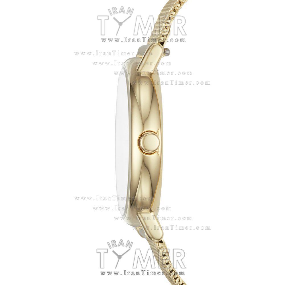 قیمت و خرید ساعت مچی زنانه اسکاگن(SKAGEN) مدل SKW2693 کلاسیک | اورجینال و اصلی