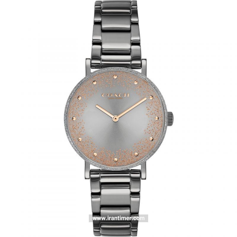 قیمت و خرید ساعت مچی زنانه کوچ(Coach) مدل 14503640 کلاسیک | اورجینال و اصلی