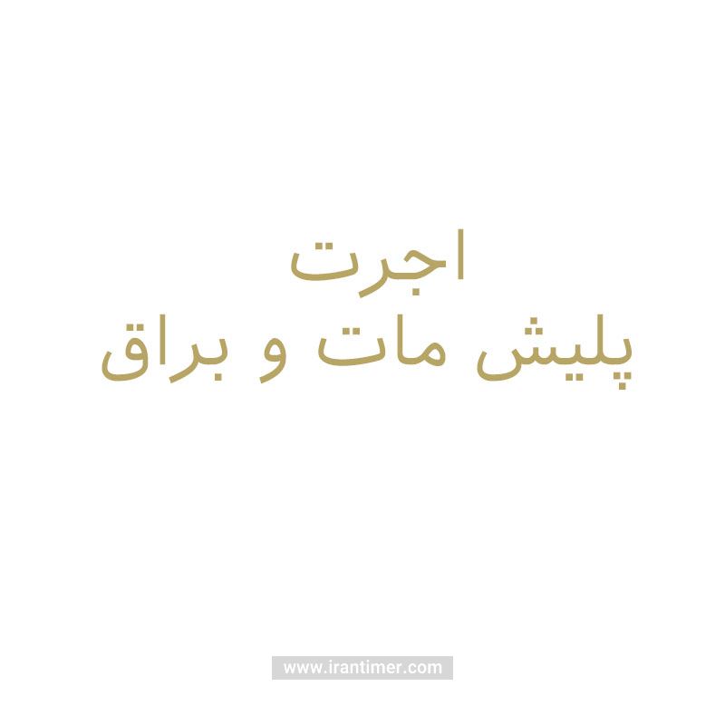 خدمات  خدمات مدل اجرت پلیش