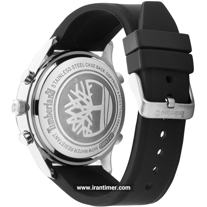 قیمت و خرید ساعت مچی مردانه تیمبرلند(TIMBERLAND) مدل TDWGP2100303 اسپرت | اورجینال و اصلی