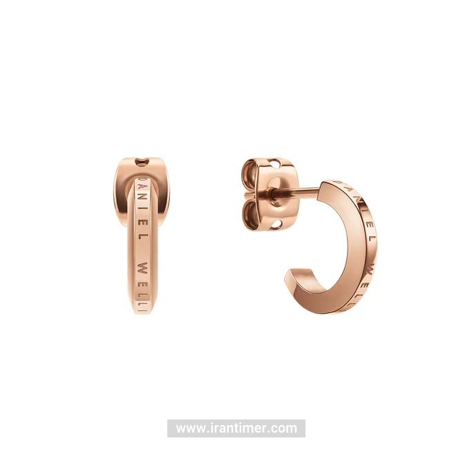 قیمت و خرید گوشواره زنانه دنیل ولینگتون(DANIEL WELLINGTON) مدل DW00400146 کلاسیک | اورجینال و اصلی