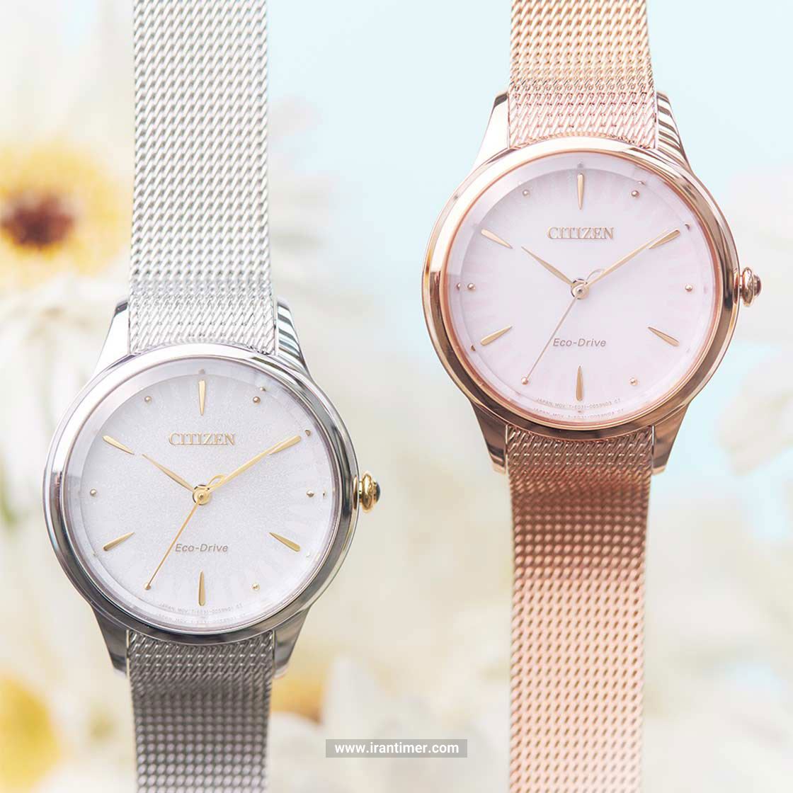 قیمت و خرید ساعت مچی زنانه سیتیزن(CITIZEN) مدل EM0819-80X کلاسیک | اورجینال و اصلی