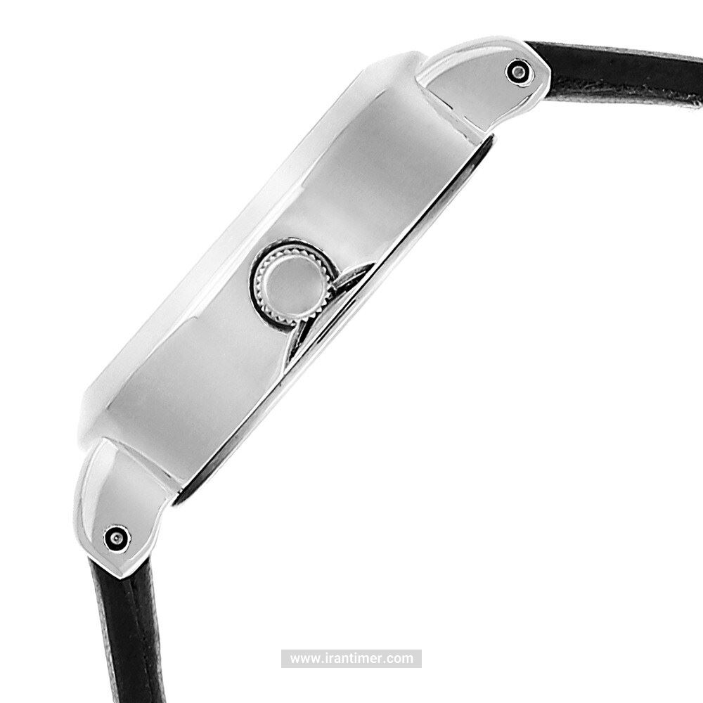 قیمت و خرید ساعت مچی زنانه تایتِن(TITAN) مدل T2599SL01 کلاسیک | اورجینال و اصلی