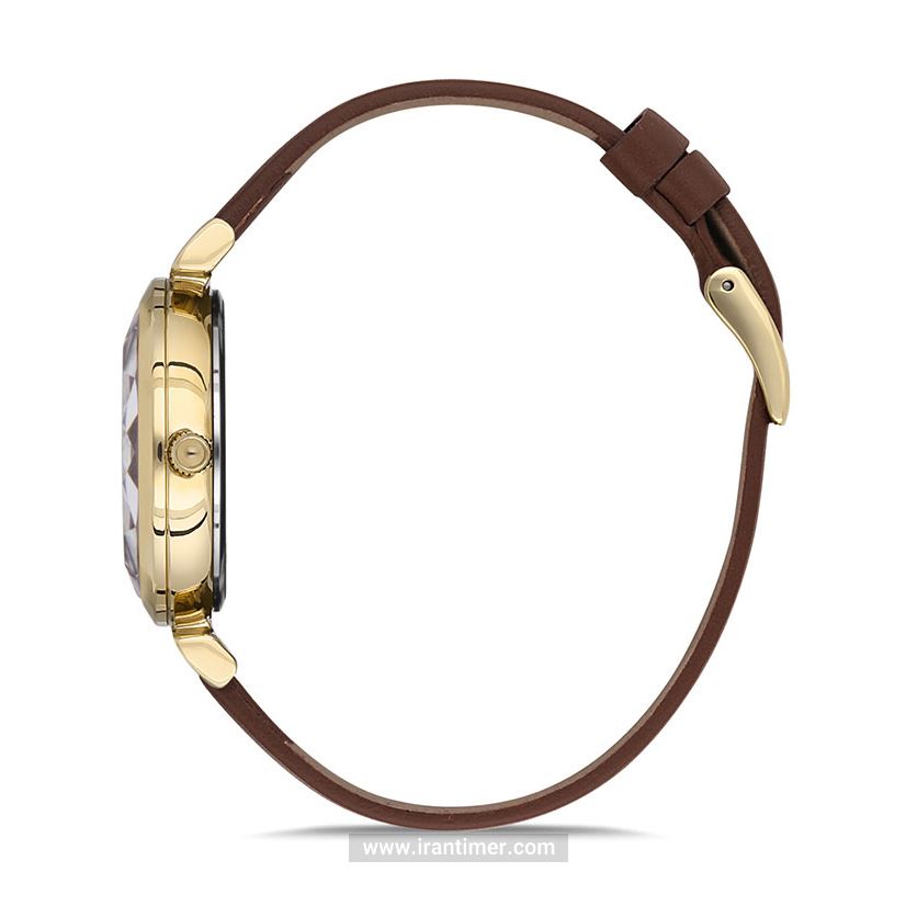 قیمت و خرید ساعت مچی زنانه دنیل کلین(Daniel Klein) مدل DK.1.12691-2 فشن | اورجینال و اصلی