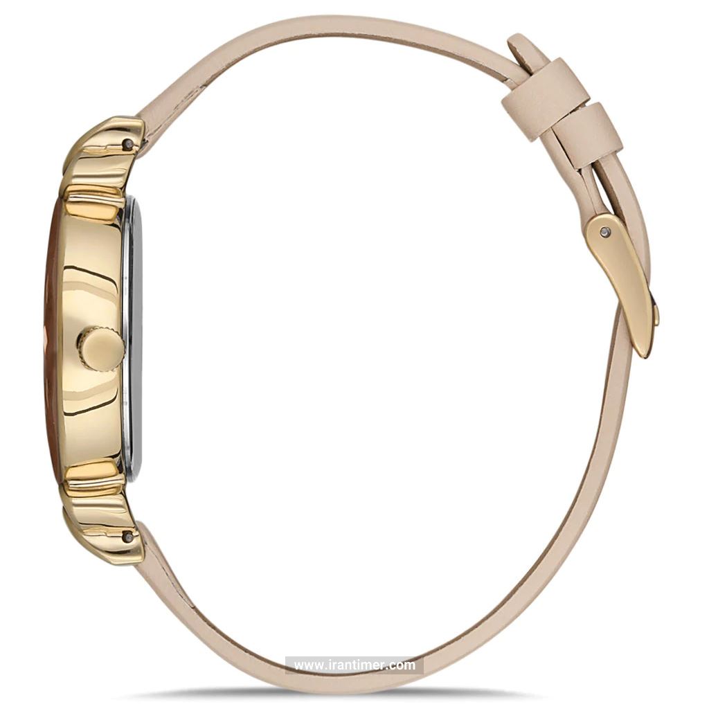 قیمت و خرید ساعت مچی زنانه دنیل کلین(Daniel Klein) مدل DK.1.12553-3 فشن | اورجینال و اصلی