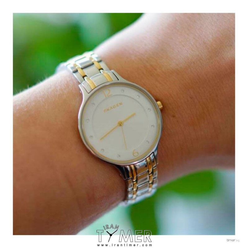 قیمت و خرید ساعت مچی زنانه اسکاگن(SKAGEN) مدل SKW2321 کلاسیک | اورجینال و اصلی