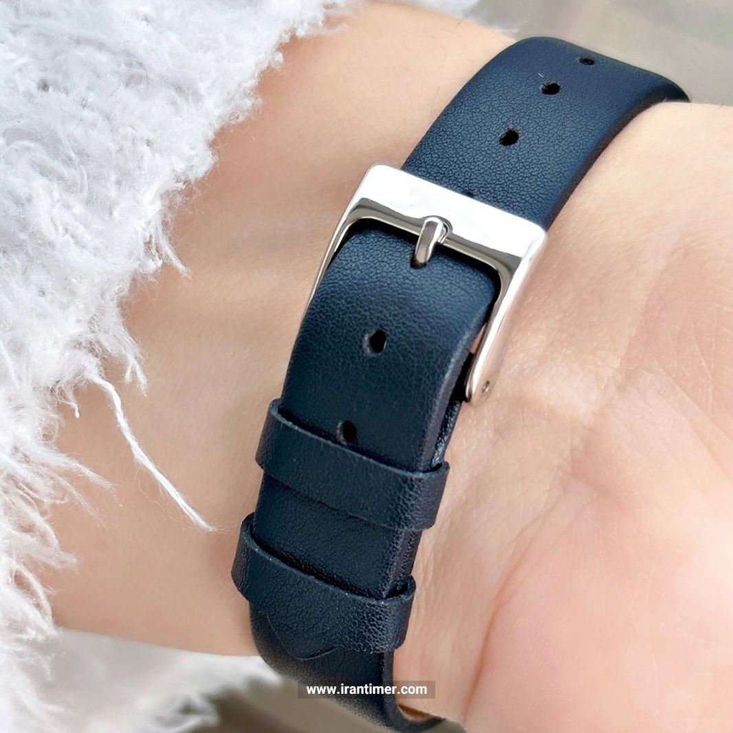 قیمت و خرید ساعت مچی زنانه اسلازنجر(SLAZENGER) مدل SL.09.2031.3.02 کلاسیک | اورجینال و اصلی